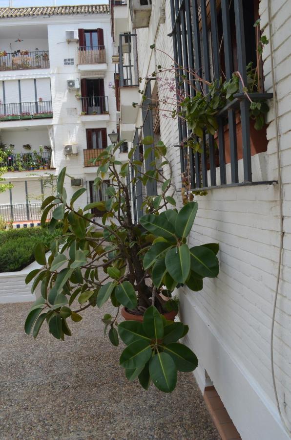 La Casa De Jose Manuel Leilighet Sevilla Eksteriør bilde